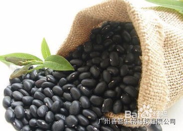 肾虚体寒怎么调理