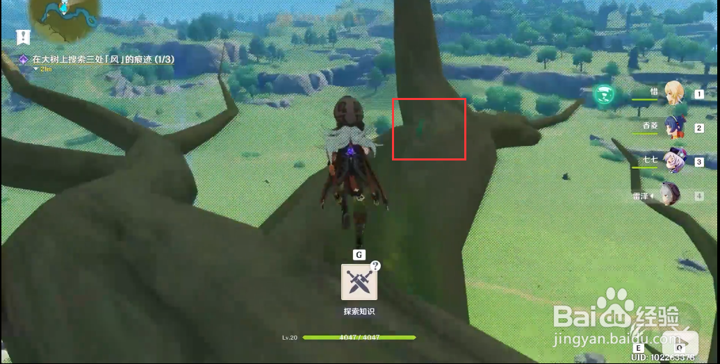 原神在大树上寻找三处风的痕迹是什么