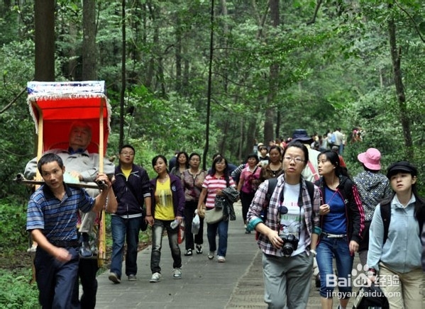 梧州到张家界自驾游