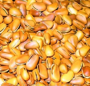 9种坚果类减肥食品