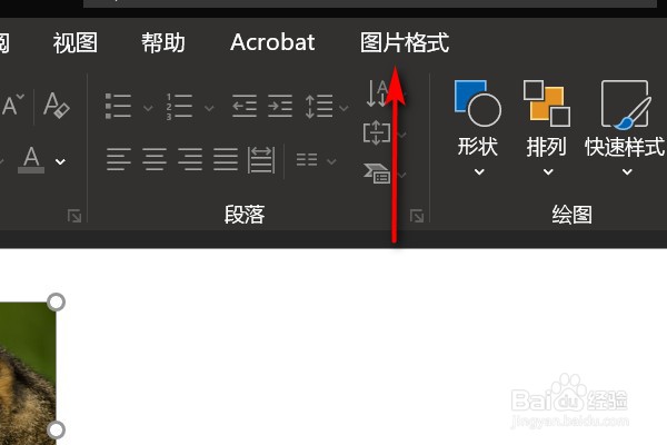 PPT图片背景透明怎么设置?