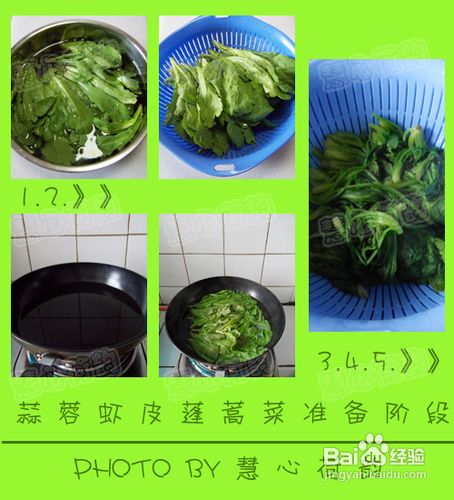 蒜蓉虾皮蓬蒿菜的做法