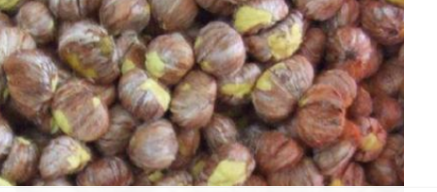 剥板栗壳最简单快捷的方法