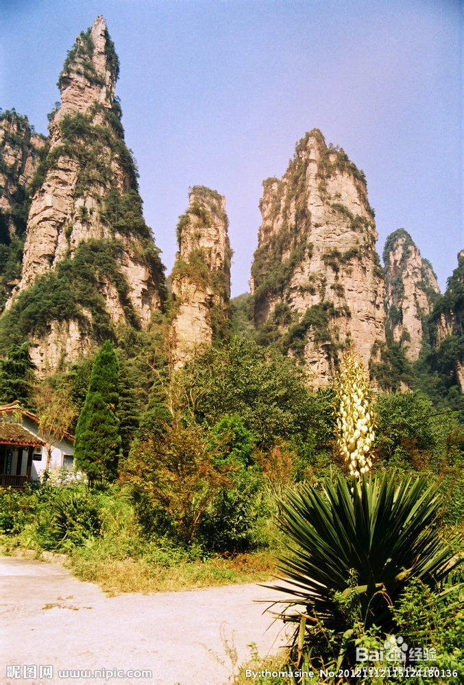 张家界十一自助游攻略