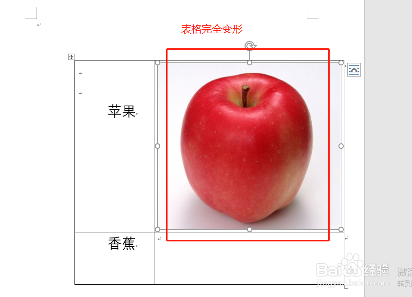 word技巧：如何设置图片自适应表格