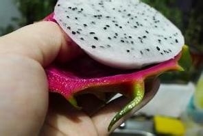 家常火龙果炒虾仁的做法