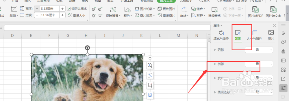 WPS表格中如何给图片添加倒影