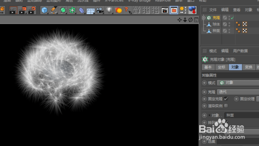 C4D建模--蒲公英