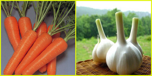 【防蚊虫】用8招蚊子不敢来侵犯宝宝!