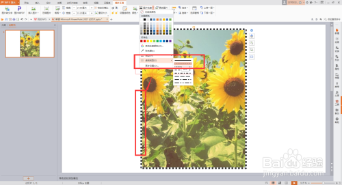PPT插入图片时给图片加轮廓描边颜色