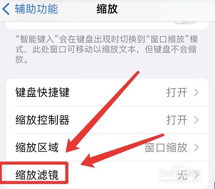 苹果缩放滤镜如何设置为灰度