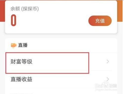 探探怎么查看财富等级