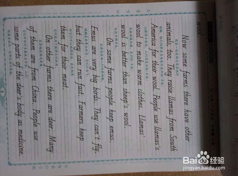 小学生暑假怎样学习下学期英语