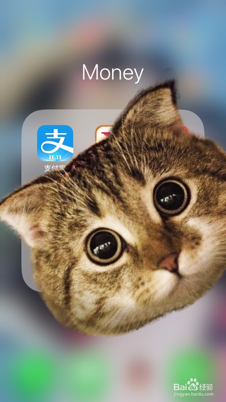 如何用支付宝查询增值税发票真伪
