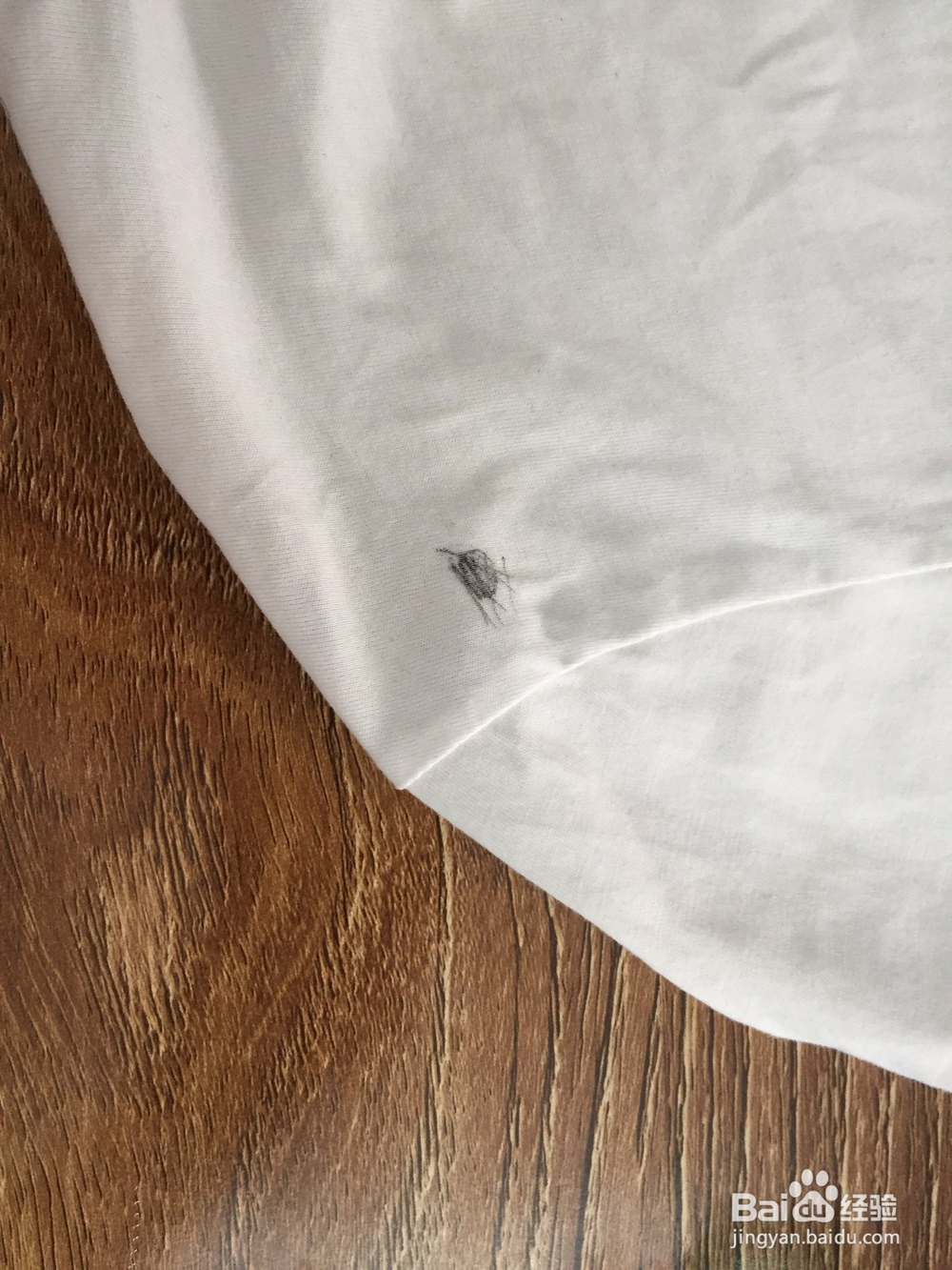 怎样用纸巾擦去衣服上的污垢?