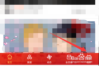 哔哩哔哩怎么查看自己有哪些动态卡片