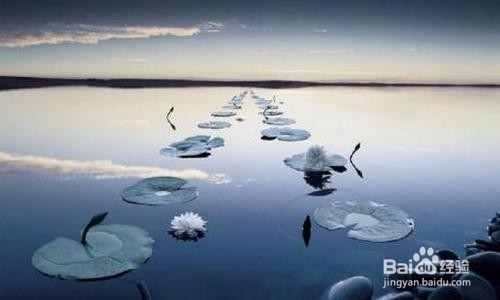 摆脱强迫症的核心——顺其自然