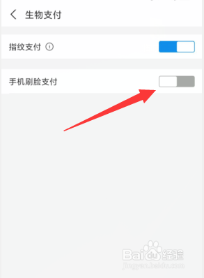 支付宝如何刷脸支付