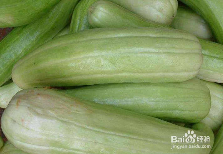 越瓜的功效和作用