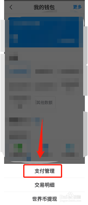 画世界软件怎么设置支付密码