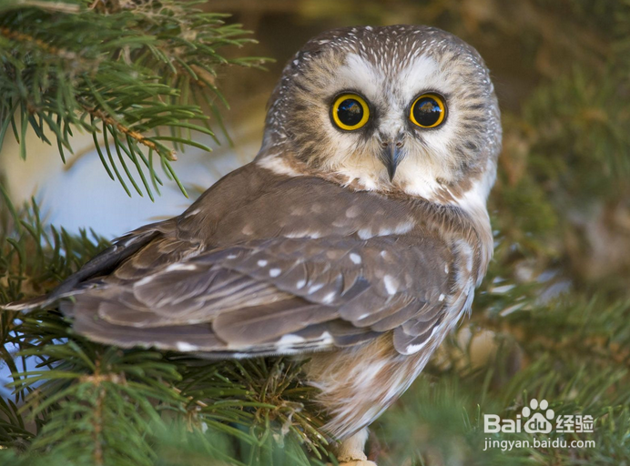 西藏旅行的十大禁忌：[10]生产劳动禁忌