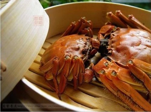 原味营养的大闸蟹做法