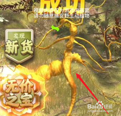 夺笋高手2-6的金色彩蛋