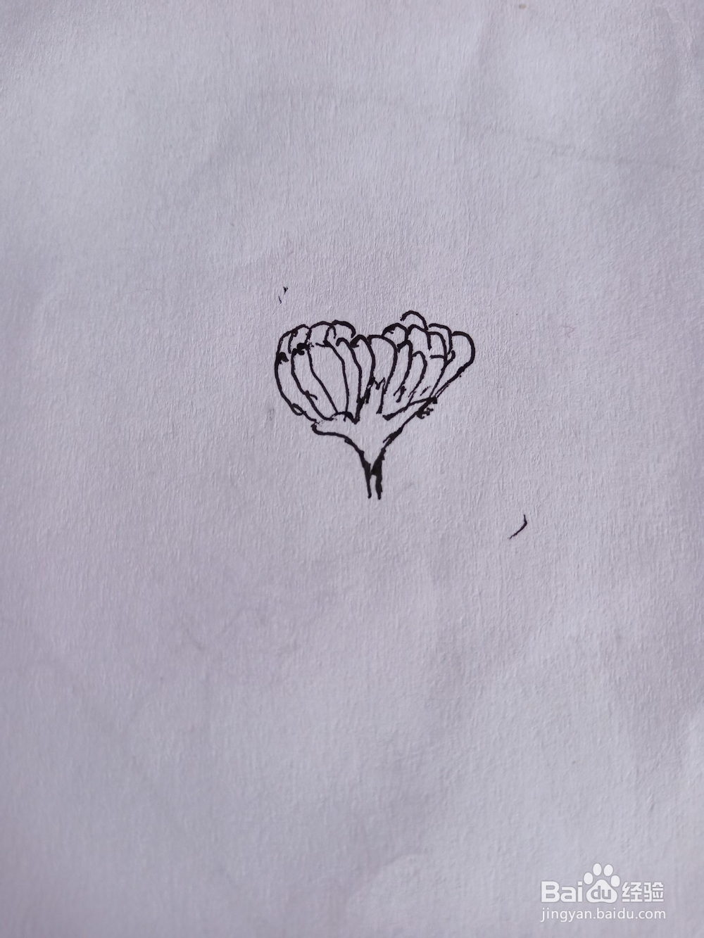 花朵与蝴蝶简笔画①