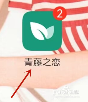 青藤之恋怎么设置只接受异性喜欢
