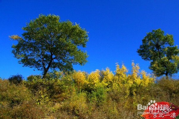 白河峡谷棒河湾