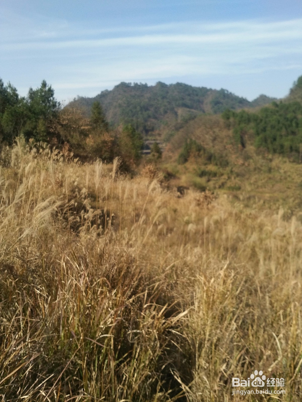 田云青老师旅游景观册编辑方法