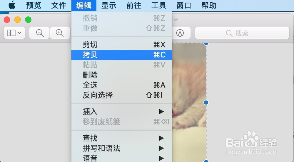Mac如何自定义文件和文件夹的图标