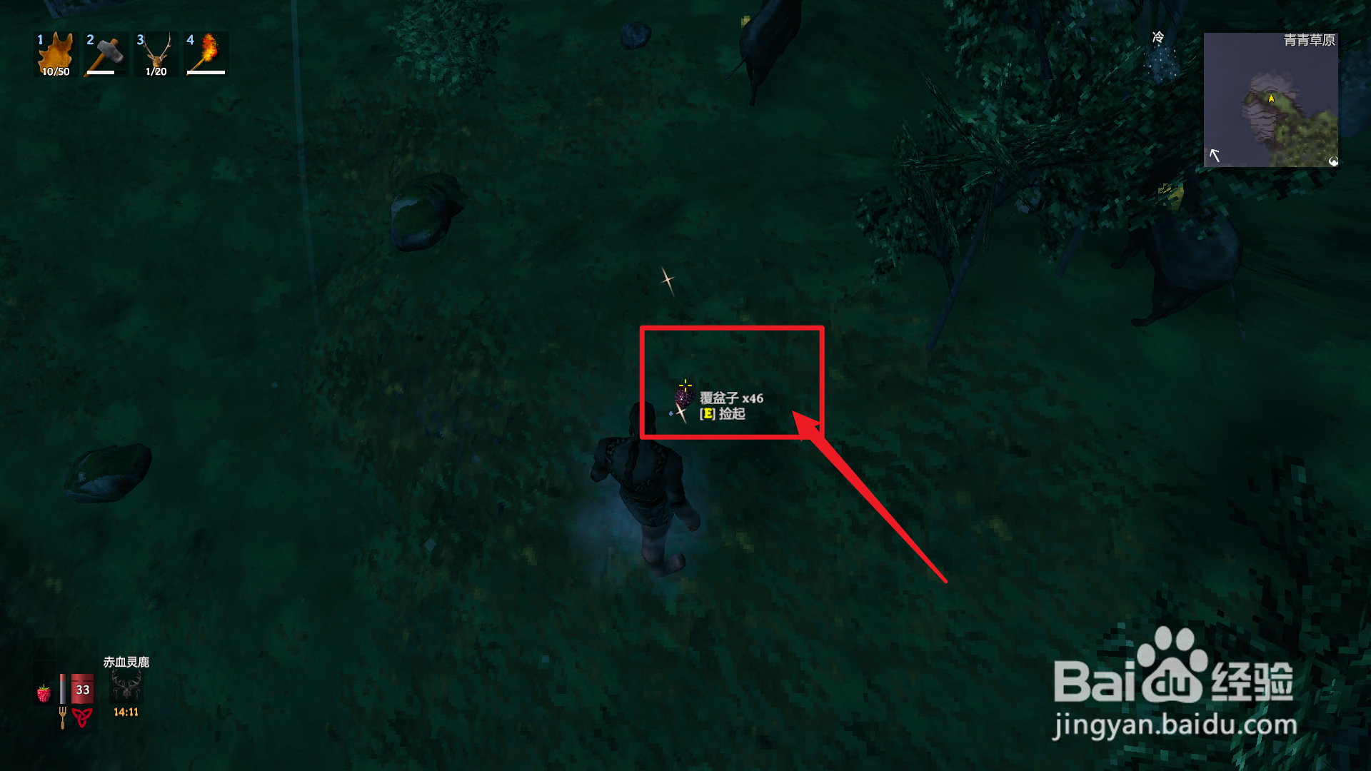 英灵神殿怎么养猪