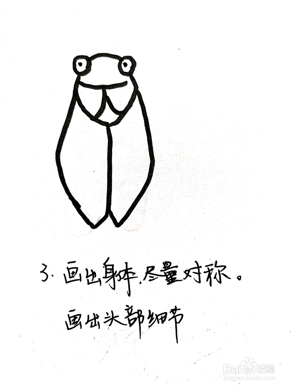《生活中常见的昆虫》系列之蝉(知了)简笔画