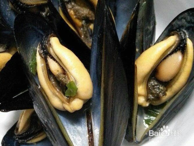 吃贻贝的禁忌