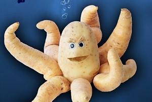 可以影响人一生的五种食物