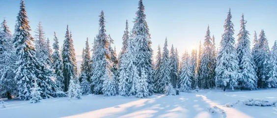 黑龙江北部冬季旅游攻略