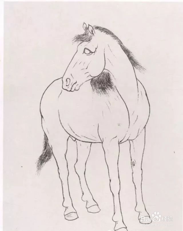 国画马的画法步骤