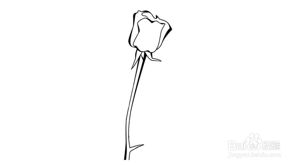 玫瑰花简笔画教程