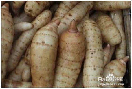 教你如何挑选品质好的天麻