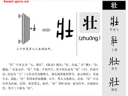 壮字的偏旁部首怎么读