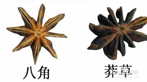 药食同源知多少——八角茴香