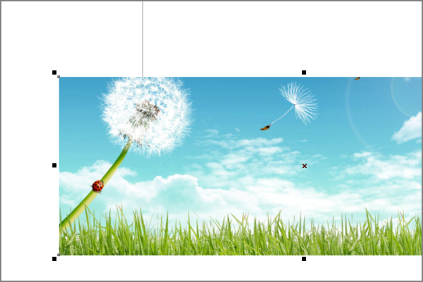 cdr中,怎么把一张图片放到文本框中