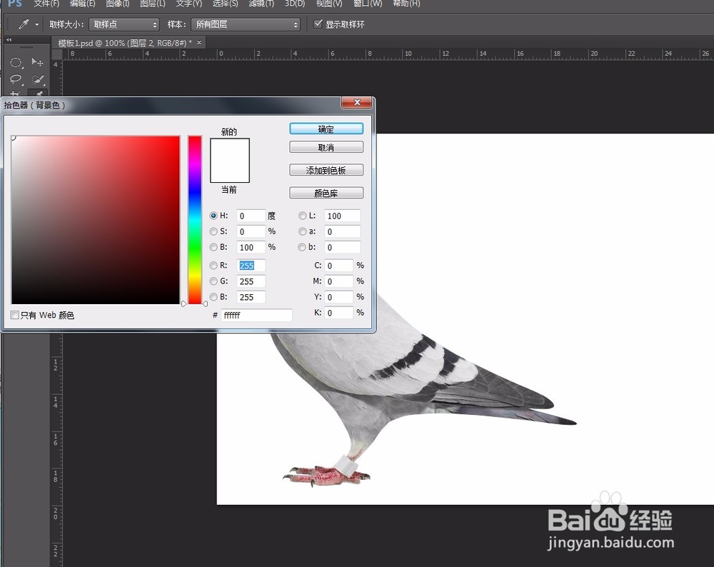 ps新手教学 必学6