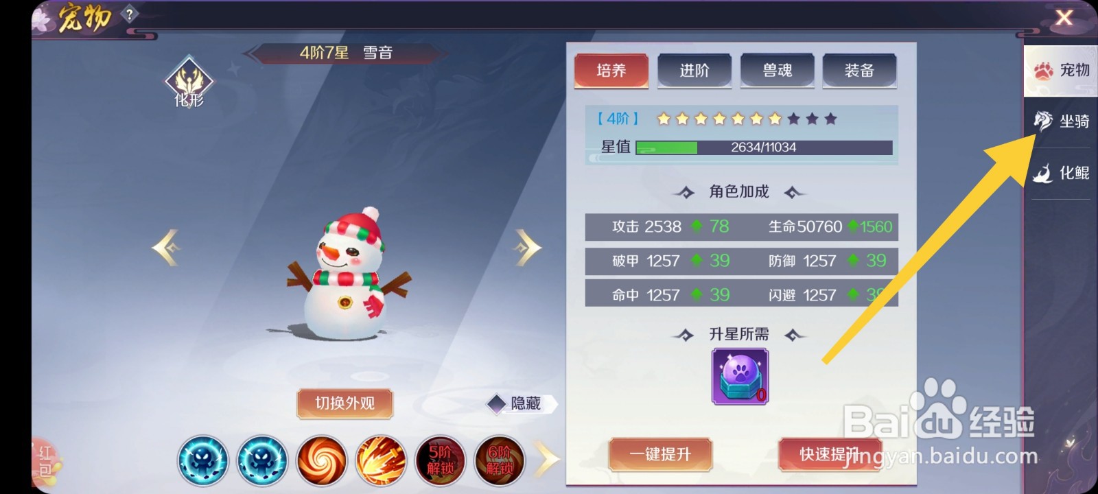 斗破火舞怎么穿戴坐骑装备