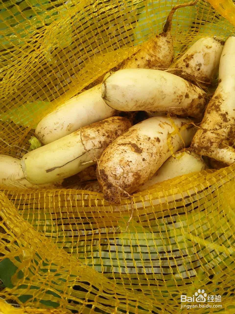 带你走进大别山体会农家快乐