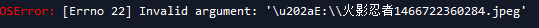 OSError: [Errno 22] Invalid argument