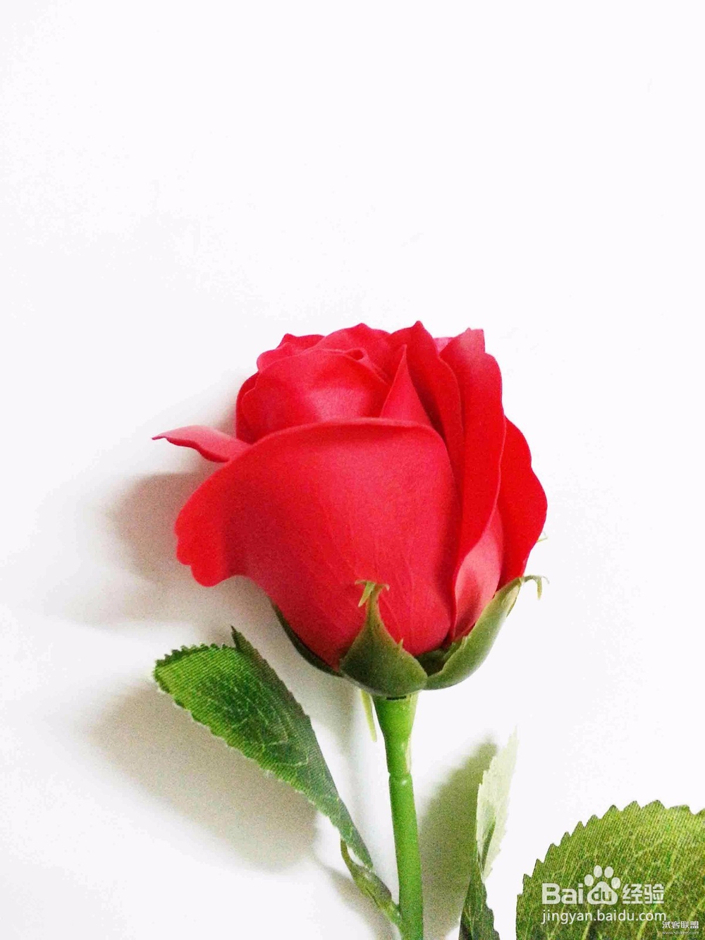 洗衣片是什么?清水片又是什么?