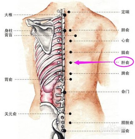 腰间盘突出不花钱、最简单的治疗方法！