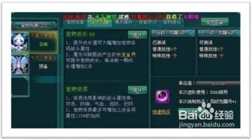 大唐真龙贰宠物养成心得经验分享